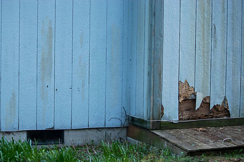 Exterior Siding Repairs